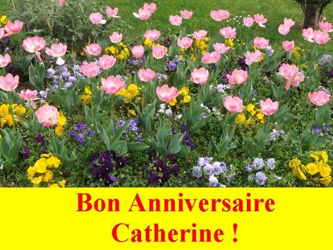 Joyeux Anniversaire Catherine Joyeux Anniversaire Catherine