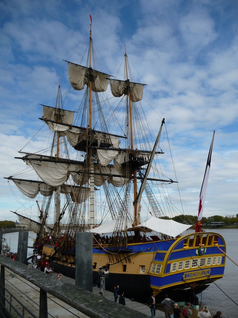 [Marine à voile] L'Hermione - Page 22 P1510516