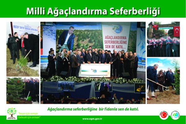 2011 Orman Yılı Sergisi Fotoğraf ve Afişleri 00510