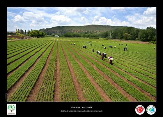 2011 Orman Yılı Sergisi Fotoğraf ve Afişleri 0610