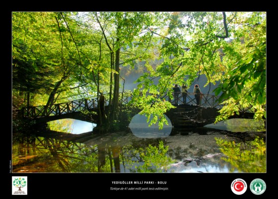 2011 Orman Yılı Sergisi Fotoğraf ve Afişleri 3310