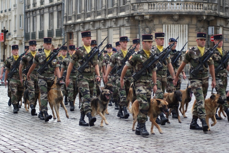 13 Juillet: Défilé militaire Reims (51) Dsc07410
