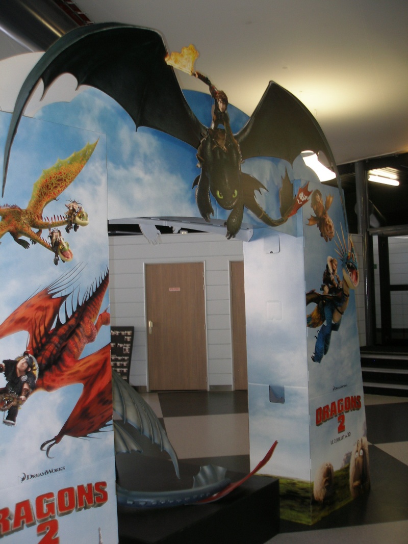 Dragons 2 [spoilers présents] DreamWorks (2014) - Page 26 P1017729