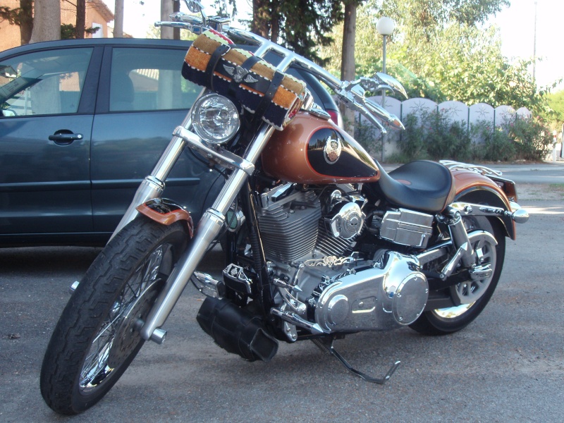 super glide custom - DYNA SUPER GLIDE CUSTOM combien sommes nous ?? P8290012