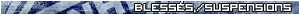 National Simulated Hockey Ligue Blesse10