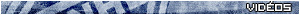 National Simulated Hockey Ligue Videos10