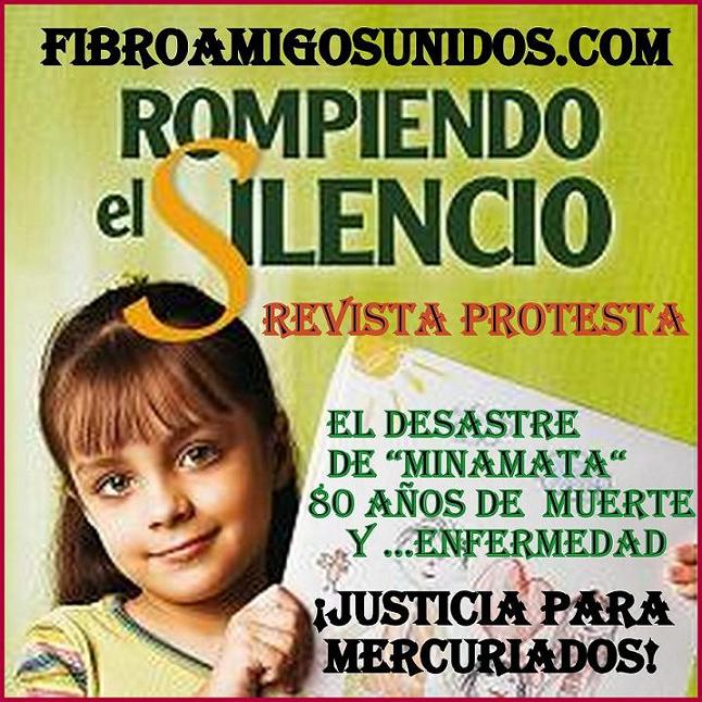 3 REVISTA PROTESTA FIBROAMIGOSUNIDOS" DESASTRE MINAMATA" Papiro13