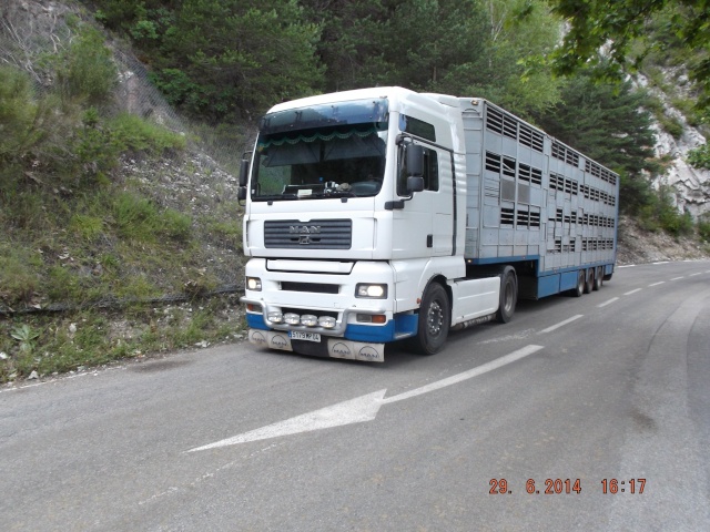 En avant les camionneurs moutonniers du sud-est. 01722