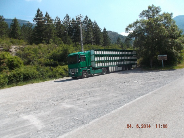 En avant les camionneurs moutonniers du sud-est. 10512