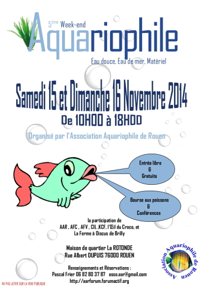 Rouen (76) - 15 et 16 novembre 2014 Affich11
