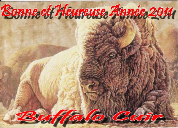 New Blog / Forum  buffalo Cuir Bison_11