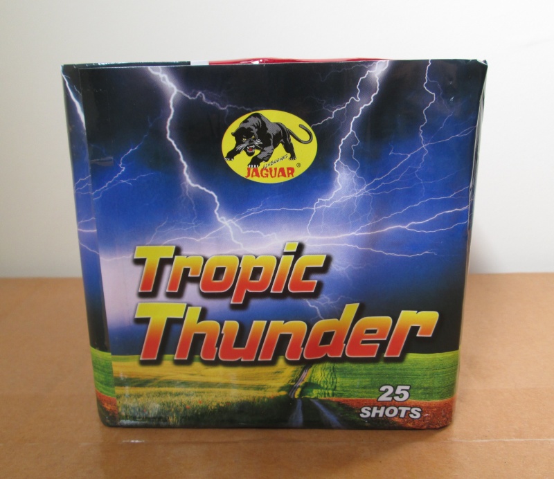 Tropic Thunder 008_210
