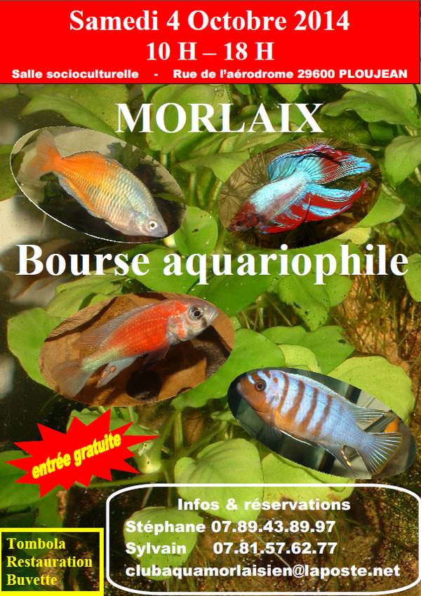 MORLAIX 2e BOURSE AQUARIOPHILE Affich11