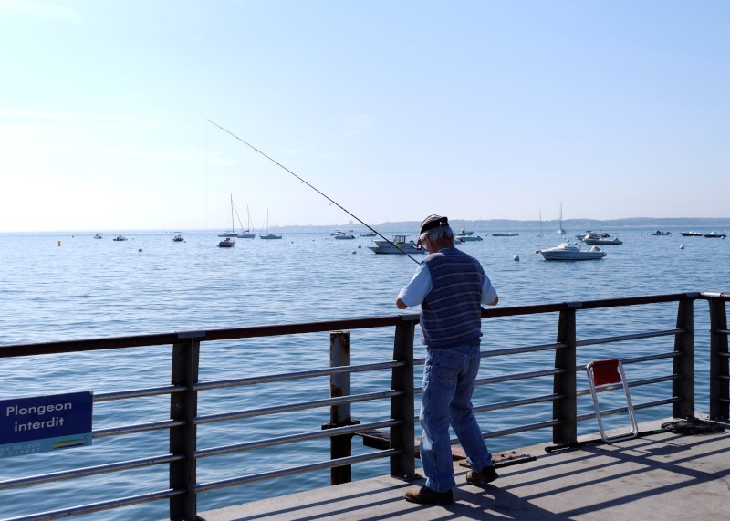 le village du Canon sur le bassin d'Arcachon 510