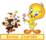 Bonjour, bonsoir..... - Page 17 Q66qez11