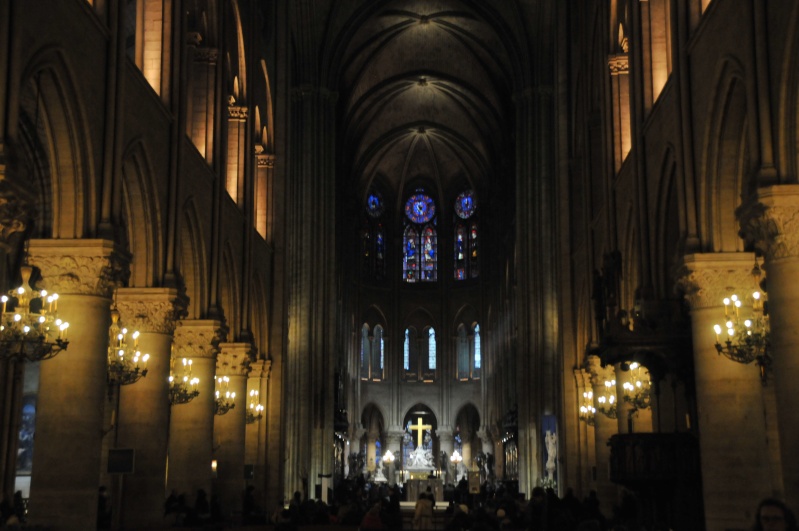 Crèche de Notre-Dame de Paris. 2014-117