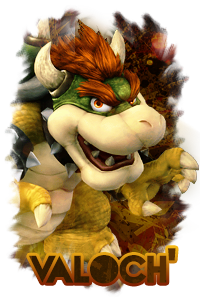 Un petit kit Bowser, huhu ? :3 Valoch11