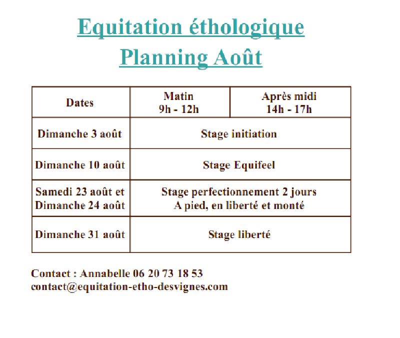 Stages équitation éthologique à Romagnieu avec Annabelle Desvignes, programme d'août 10527810