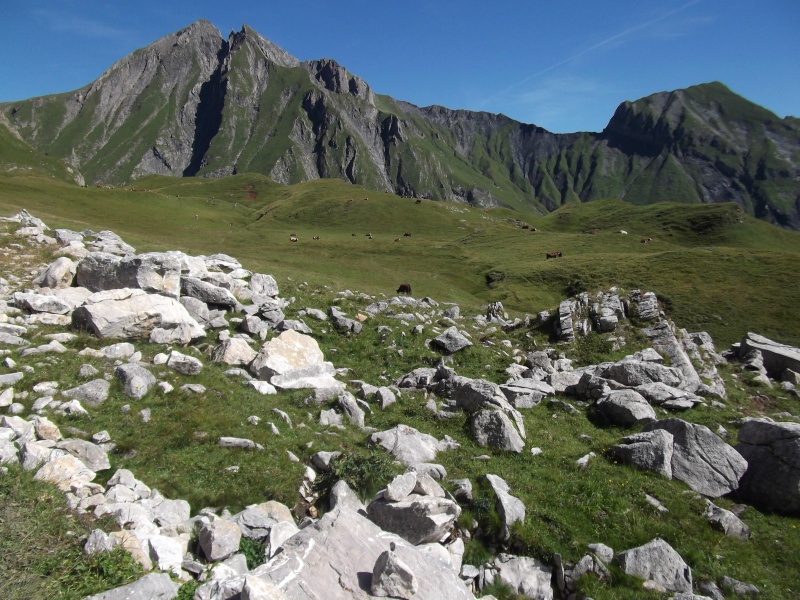 Randonnée en Savoie Cinq_l12