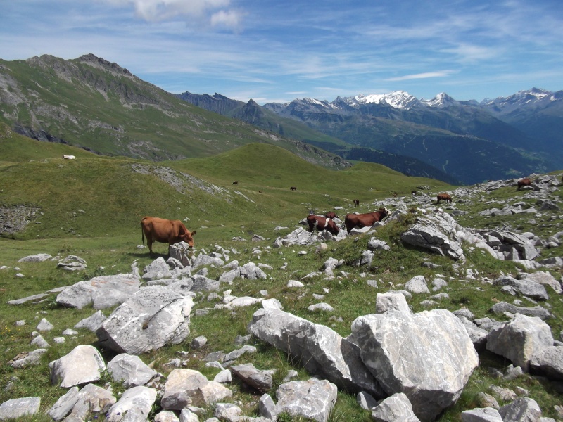 Randonnée en Savoie Cinq_l14