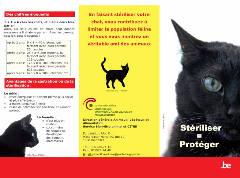 Stérilisation et identification des chats en Belgique Folder10