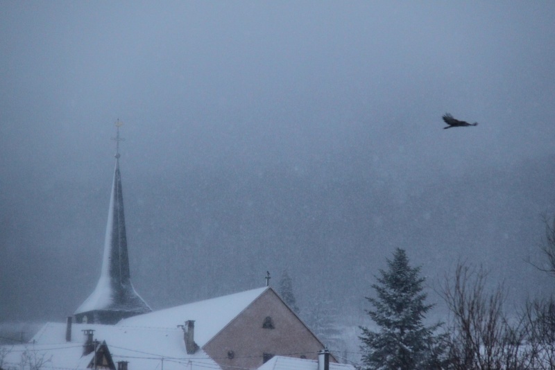 Il a neigé sur Wangen le 27 décembre 2014... Img_5712