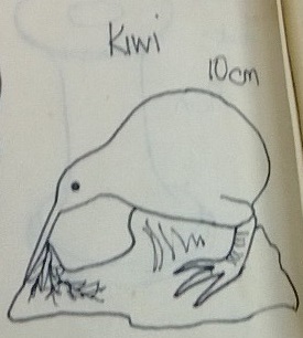 Lots of Crown Lynn little animals on this page of the Modellers Shapes book !! Kiwi11