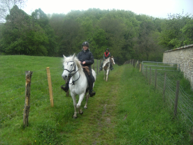 Promenades de début de saison Le_pin13