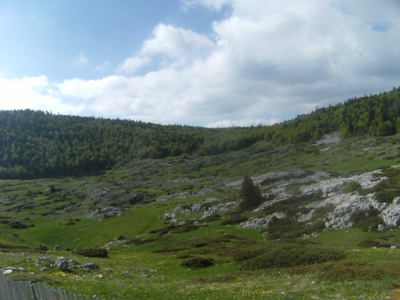 Promenades de début de saison Vercor85