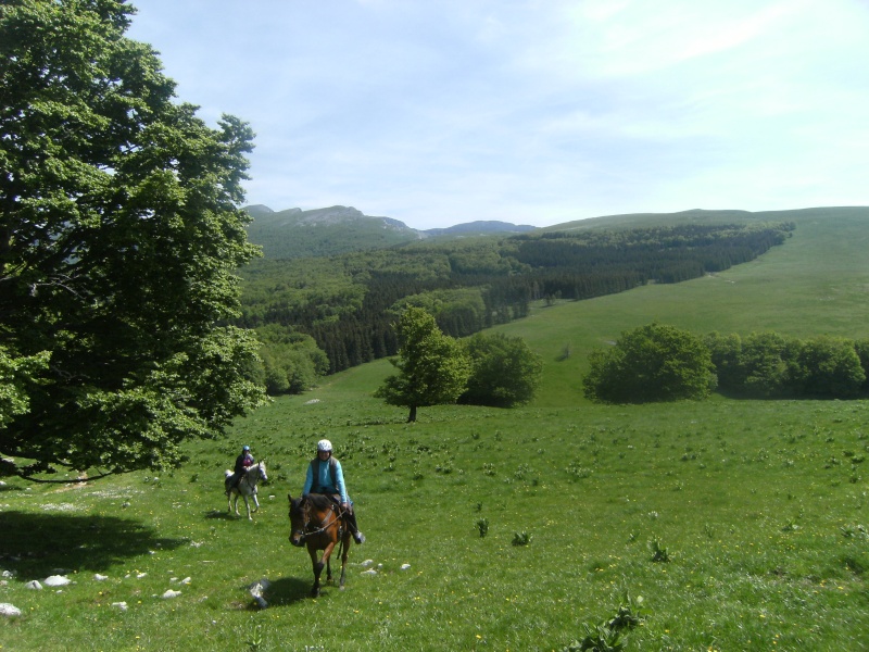 Promenades de début de saison Vercor92