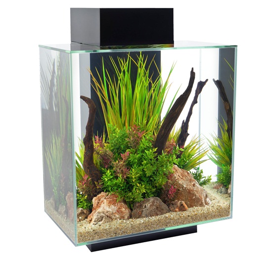 Nano fluval edge 46 L Fluval10