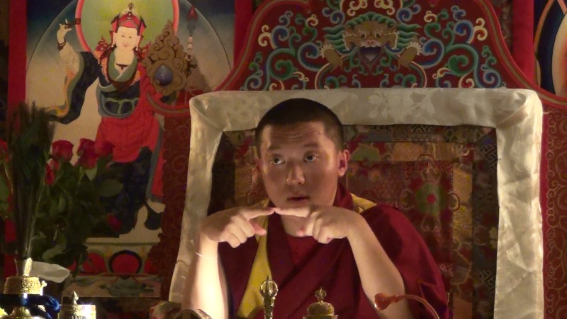 Visite de Dilgo Khyentsé Yangsi Rinpoché 2014 Yangsi12