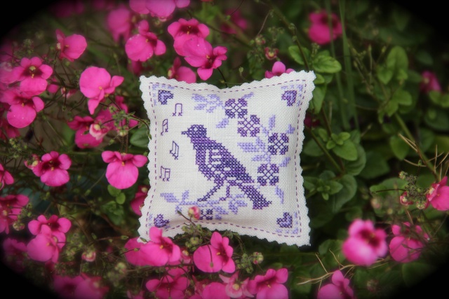 Ech. "couleur violet" - *** PHOTOS *** 4010
