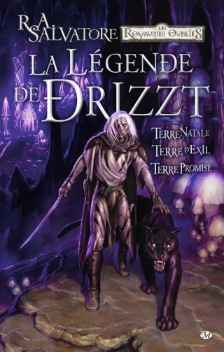 LA LÉGENDE DE DRIZZT : TERRE NATALE / TERRE D'EXIL / TERRE PROMISE de Andrew Dabb et R.A. Salvatore 1406-d10