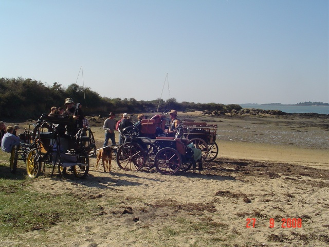 WE Chevaux / Eriba tant attendu Dsc00121