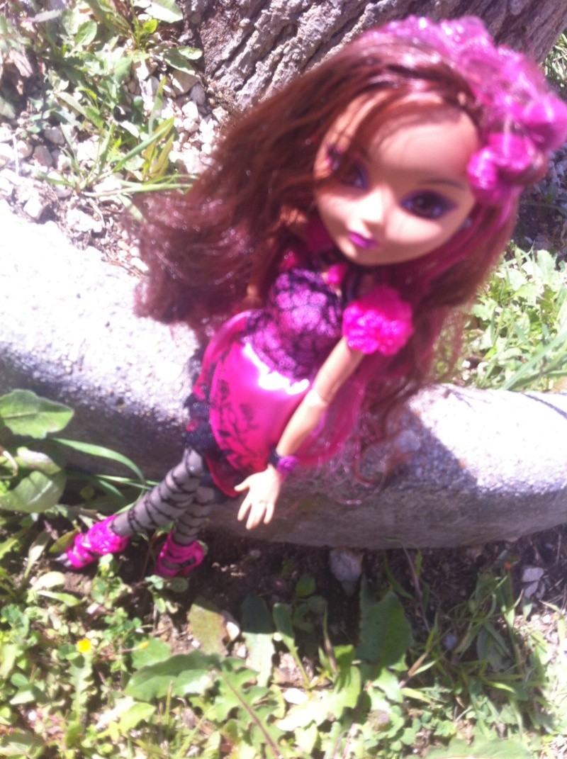 Ever After High Briar Beauty And Ashlynn By Vanessa Img_2914