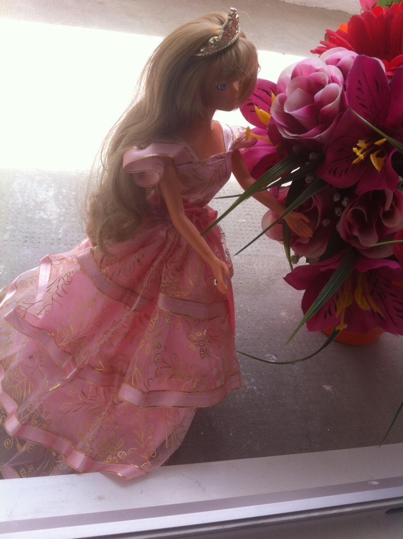 Ma collection sur les poupées Princesse Sissi de LANSAY Img_4058