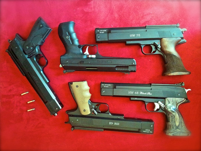 Petite collection  de pistolets - Page 2 20140742