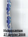 Caromarpie : Mes petits bracelets Hyppoc10