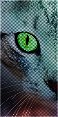 Plume du Vent (Soeur d'Oeil de Lynx) Ciel10