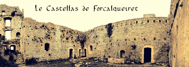 Le Castellas De Forcalqueiret