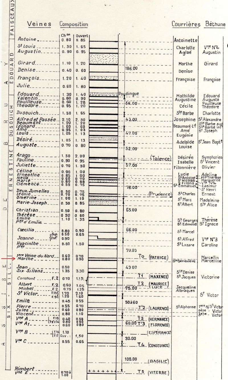 Lepidodendron Sternberg , 1820 . - Page 6 Carbon10