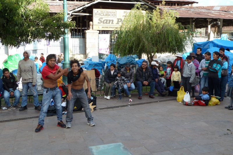 2014 Perù-Cile-Bolivia-Argentina:"Esto es el mi lote" Resize42
