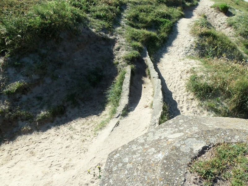 les vestiges de la pointe de GAVRES 100_2868