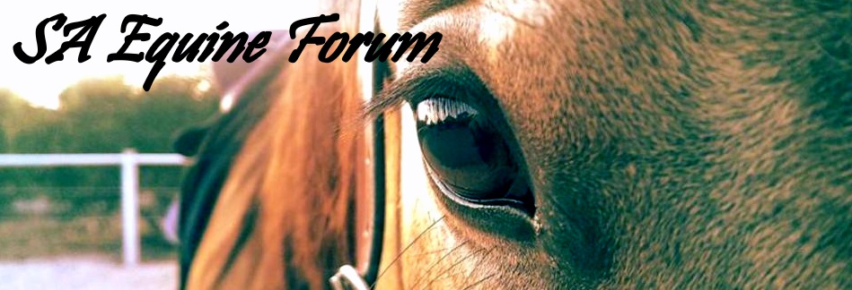 South Australian Equine Forum