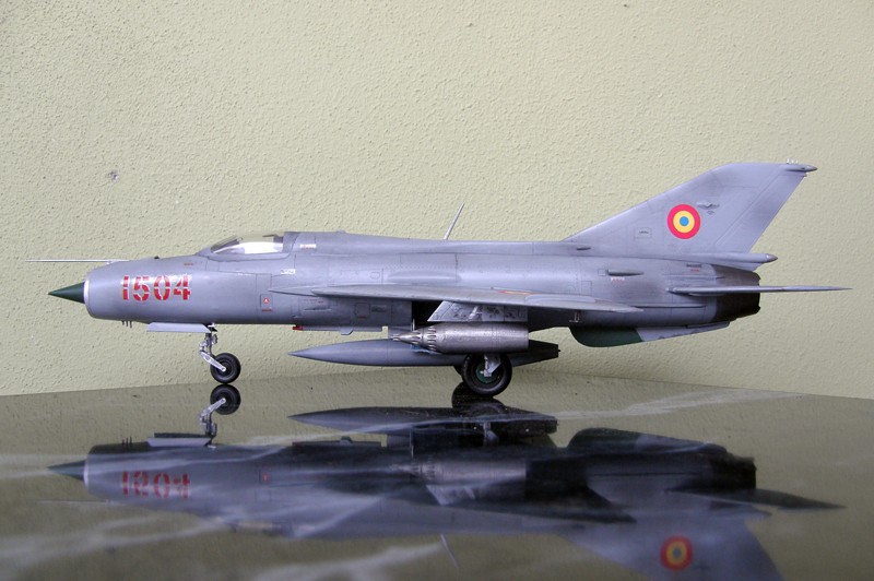 Modele de avioane militare - 2010 - Pagina 2 P8040010