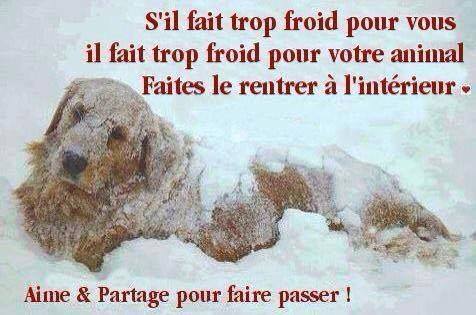 Bien proteger ses animaux du froid 10730210