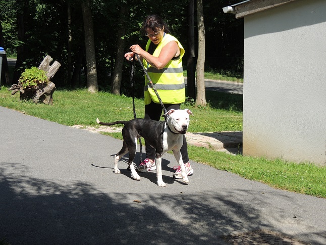  COCO (Cocaine) adoptée en janvier 2015. 22_jui21