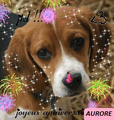Joyeux Anniversaire Marion Joyeux Anniversaire Marion