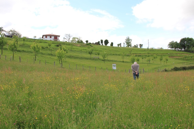 pays Basque printemps 2014 21310